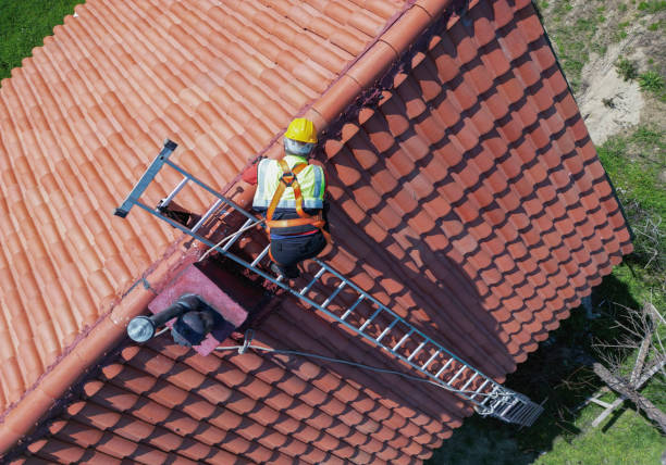 Best Roof Moss and Algae Removal  in Ontonagon, MI